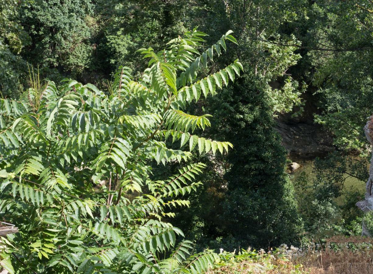 Mini Appartamento "Il Nido Del Picchio" Ascoli Piceno Extérieur photo